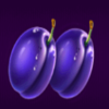 royal coins 2 hold and win two plum symbol