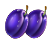 royal express hold and win plums symbol