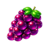 royal fortune fruits grape symbol