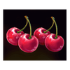 royal joker hold and win cherries symbol
