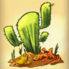 rtg coyote cash cactus symbol