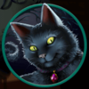 rtg witchs brew cat symbol