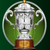 rugby star trophy symbol