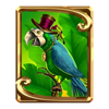rum and raiders parrot symbol