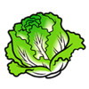 run rabbit run cabbage symbol