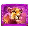 safari gems cheetah symbol