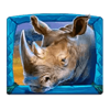 safari gems hippo symbol