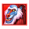 safari mystery baboon symbol