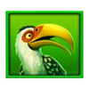 safari mystery bird symbol
