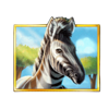 safari rumble zebra symbol