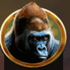 safari stampede gorilla symbol