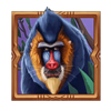 safari sun monkey symbol