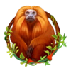 samba da deusa monkey symbol