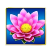 samurai 888 spin sakura flower symbol