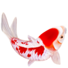 samurai warrior koi symbol