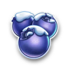 santas vault blueberries symbol