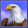 savage buffalo spirit eagle symbol