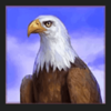 savage buffalo spirit megaways eagle symbol