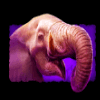 savage lion elephant symbol
