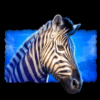 savage lion zebra symbol