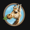savanna king jackpot giraffe symbol