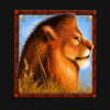 savanna king jackpot lion symbol