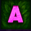savanna squad a symbol