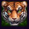 savanna squad tiger symbol
