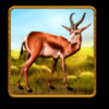 savannah king antelope symbol