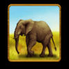 savannah king elephant symbol