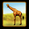 savannah king giraffe symbol