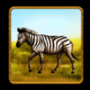 savannah king zebra symbol