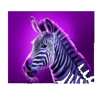 savannah legend zebra symbol