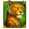 savannah riches oranje jackpot jaguar symbol
