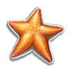 sea fantasy starfish symbol