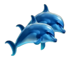 sea of wealth dolphins symbol