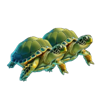 sea of wealth turtle symbol