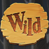 seasons wild symbol