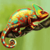 secrets of the amazon chameleon symbol