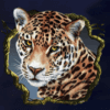 secrets of the amazon jaguar symbol