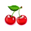 seker bey bell link cherry symbol