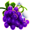 seven seven pots and pearls grapes symbol
