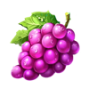 sevens and fruits 6 reels grape symbols