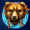 shaman spirit bear symbol