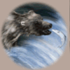 shamans dream bear symbol