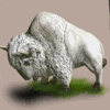 shamans dream ox symbol