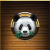 shanghai respin panda symbol