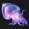 shark spin medusa symbol