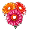 sheer magic flowers symbol