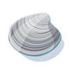 shells and swells gray shell symbol